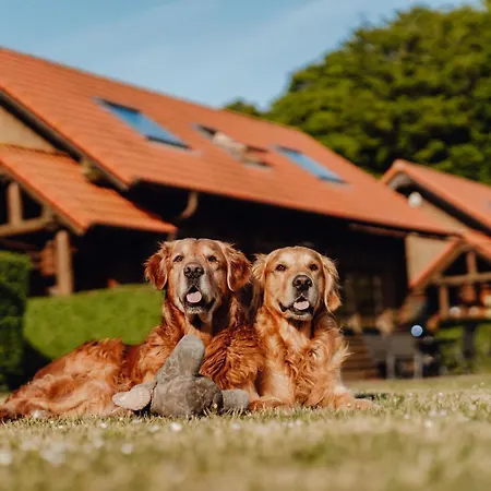Blockhaus Alexander Von Humboldt - 2 Reihe Meerblick Sassnitz